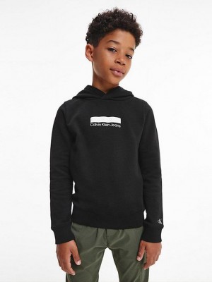 Black Calvin Klein Organic Cotton Boys's Hoodie | EXBD-47361
