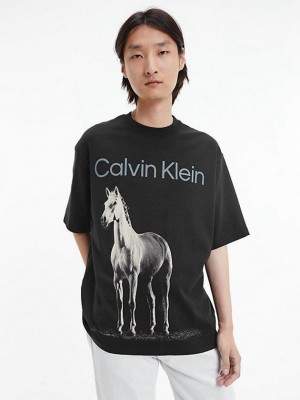 Black Calvin Klein Unisex Printed - CK Standards Men T-Shirt | FMTI-17596
