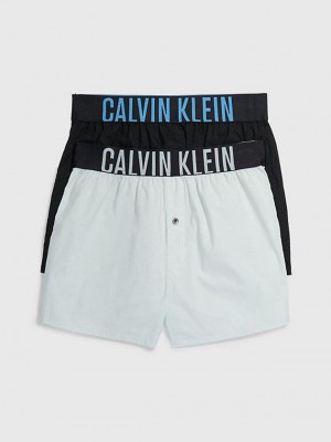 Blue Calvin Klein 2 Pack Slim Fit Boxers - Intense Power Men Briefs | BURO-98207
