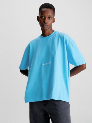 Blue Calvin Klein Boyfriend Logo Women T-Shirt | SJCI-04861