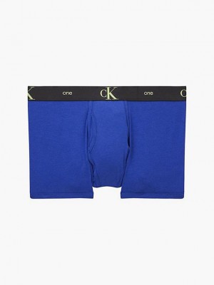 Blue Calvin Klein CK One Men Briefs | VLMI-35942