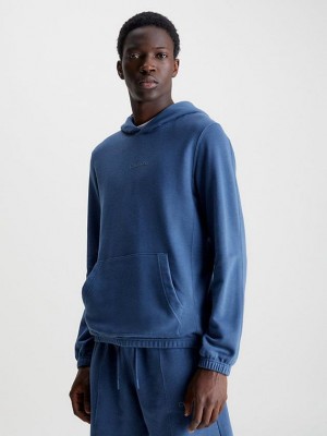 Blue Calvin Klein Cotton Terry Men Hoodie | JTYA-62409