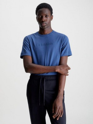 Blue Calvin Klein Gym Men T-Shirt | KFJW-81532