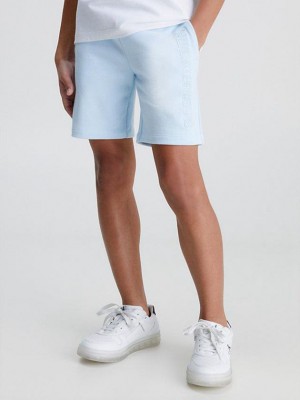 Blue Calvin Klein Logo Boys's Shorts | FNGR-14780