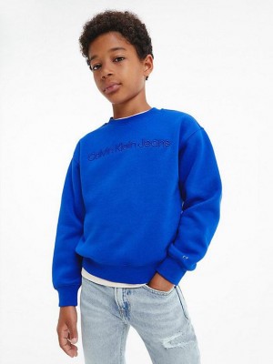 Blue Calvin Klein Logo Boys's Sweatshirt | XBRS-87059