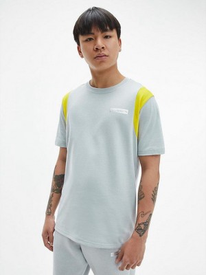 Blue Calvin Klein Logo Gym Men T-Shirt | IADM-97120
