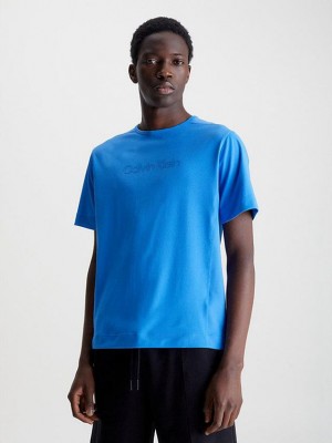 Blue Calvin Klein Logo Gym Men T-Shirt | JKLG-03594