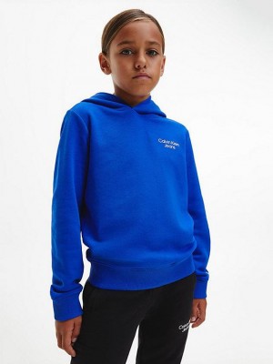 Blue Calvin Klein Organic Cotton Boys's Hoodie | BMWR-09253