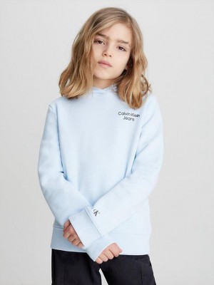 Blue Calvin Klein Organic Cotton Boys's Hoodie | JALG-36587