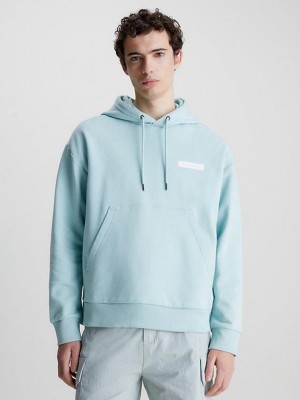 Blue Calvin Klein Organic Cotton Logo Men Hoodie | HMYZ-29531