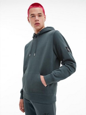 Blue Calvin Klein Organic Cotton Men Hoodie | WROA-37980