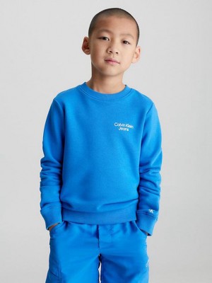 Blue Calvin Klein Organic Cotton Terry Boys's Sweatshirt | TRBY-28067