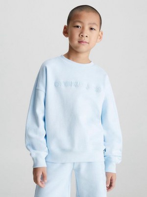 Blue Calvin Klein Relaxed Logo Boys's Sweatshirt | JOIA-52830