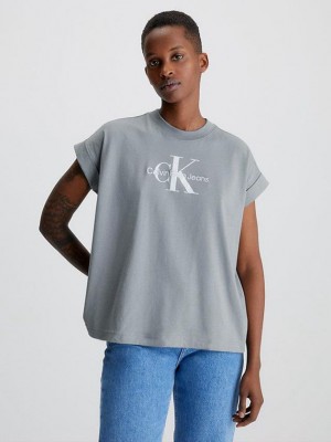Blue Calvin Klein Relaxed Monogram Women T-Shirt | NIAW-39158