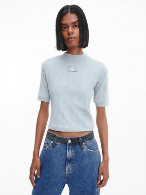 Blue Calvin Klein Slim Ribbed Short Sleeve Women Top | KLJM-23758