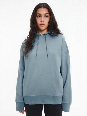 Blue Calvin Klein Unisex Relaxed - CK Standards Men Hoodie | TDML-39582