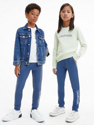 Blue Calvin Klein Unisex Slim Boys's Joggers | ZOCV-89145