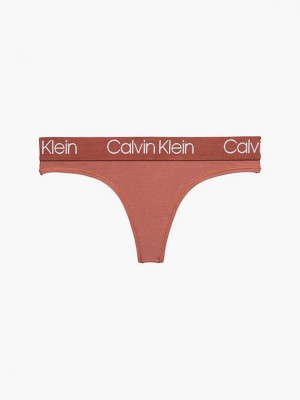 Brown Calvin Klein Body Women Thong | UZYS-58026