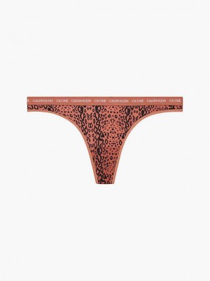 Brown Calvin Klein CK One Women Thong | DHGU-70254