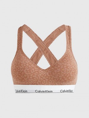 Brown Calvin Klein Lift - Modern Cotton Women Bra | ZWHG-70986