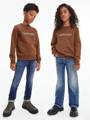 Brown Calvin Klein Logo Boys's Sweatshirt | NATM-27041