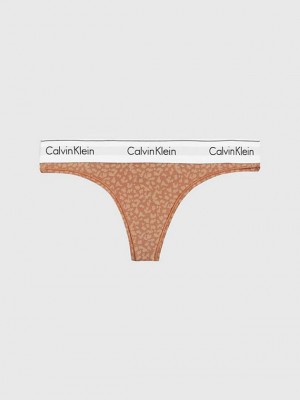 Brown Calvin Klein Modern Cotton Women Thong | PUDG-73240