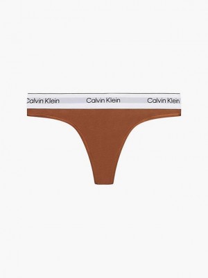 Brown Calvin Klein Modern Cotton Women Thong | KPYU-27864