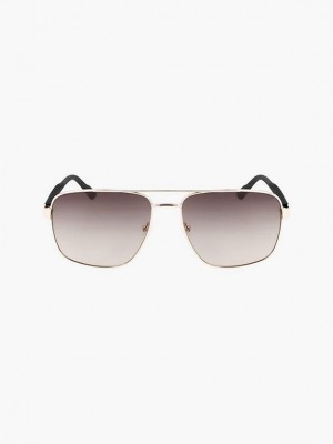Brown Calvin Klein Navigator Men Sunglasses | UOMY-94062