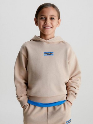 Brown Calvin Klein Organic Cotton Logo Boys's Hoodie | WKFQ-38297