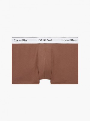 Brown Calvin Klein Pride Men Briefs | RXTC-14032