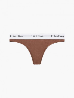 Brown Calvin Klein Pride Women Thong | XAFT-83067
