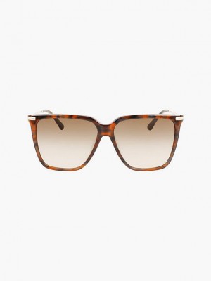 Brown Calvin Klein Rectangle Women Sunglasses | DYPI-38201