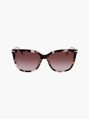 Brown Calvin Klein Rectangle Women Sunglasses | YRMV-12053