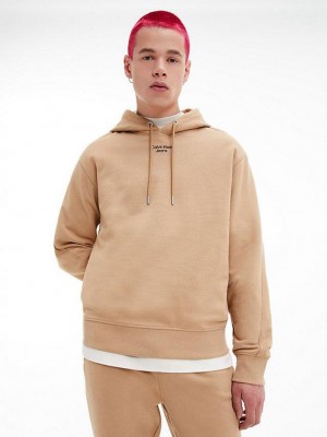 Brown Calvin Klein Relaxed Men Hoodie | ORTW-03876