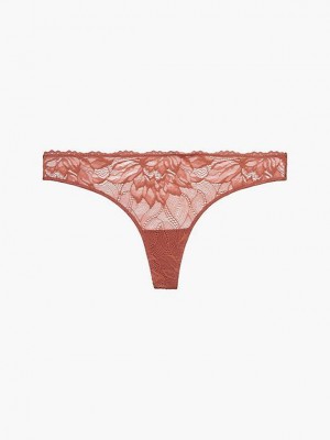 Brown Calvin Klein Seductive Comfort Women Thong | KPAH-80276