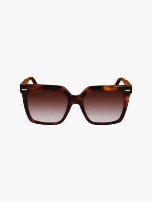 Brown Calvin Klein Square Women Sunglasses | FSXG-01284