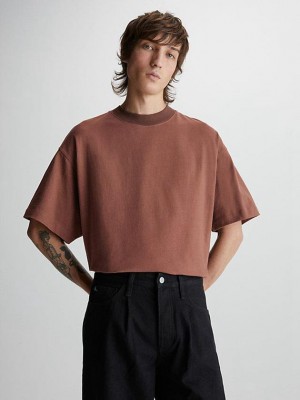 Brown Calvin Klein Unisex Oversized Women T-Shirt | EWVZ-48320