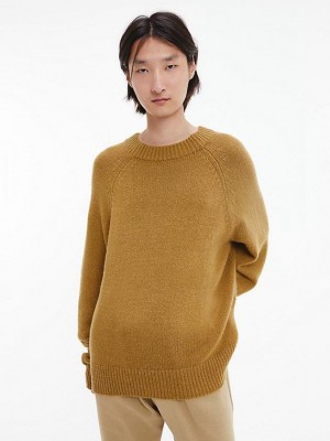 Brown Calvin Klein Unisex Wool Blend Jumper - CK Standards Men Sweater | HXTM-07298