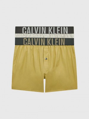 Green Calvin Klein 2 Pack Slim Fit Boxers - Intense Power Men Briefs | NIEZ-30956