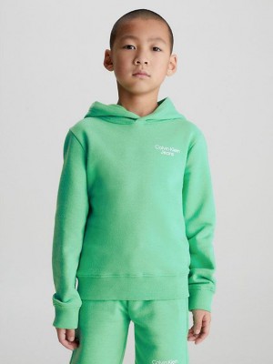 Green Calvin Klein Organic Cotton Boys's Hoodie | IAGS-72489