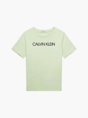 Green Calvin Klein Organic Cotton Logo Girls's T-Shirt | SWVJ-54921