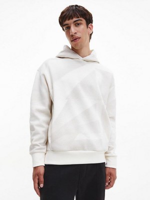 Grey Calvin Klein Relaxed Shadow Print Men Hoodie | BKXR-98402