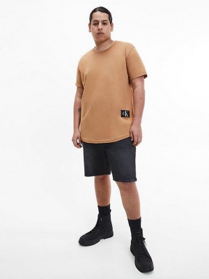 Khaki Calvin Klein Organic Cotton Badge Men T-Shirt | HFVQ-34578