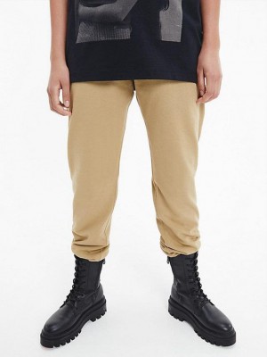Khaki Calvin Klein Unisex Relaxed - CK Standards Women Joggers | VKIS-49582