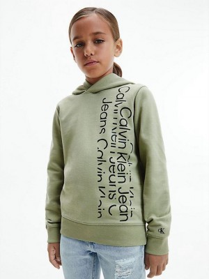 Olive Calvin Klein Logo Boys's Hoodie | XPAY-39671