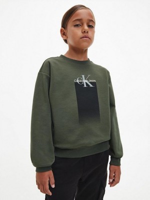 Olive Calvin Klein Logo Boys's Sweatshirt | FXJP-69853