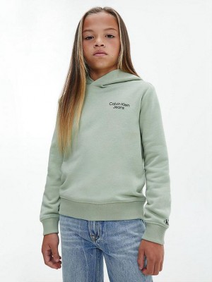 Olive Calvin Klein Organic Cotton Boys's Hoodie | BTIY-54968