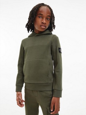 Olive Calvin Klein Peached Terry Boys's Hoodie | IASV-68470