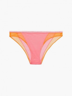 Orange Calvin Klein Bikini - Pride Women Briefs | WLNH-94157