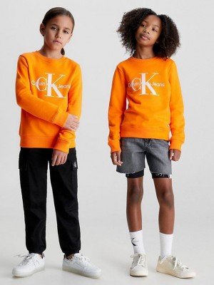 Orange Calvin Klein Logo Girls's Sweatshirt | WJGD-54870